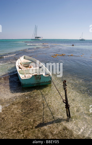 Un petit bateau est lié à un jeu dans les bas-fonds avec des voiliers à l'horizon sous un soleil d'après-midi chaud : Ambergris Caye, Belize Banque D'Images