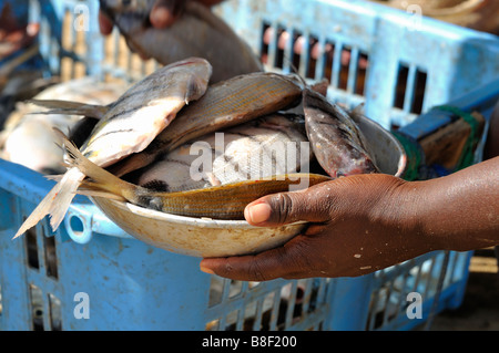 Mains d'une femme tenant un bol de marché de poissons, Sal Rei, Boa Vista, République du Cap-Vert Banque D'Images