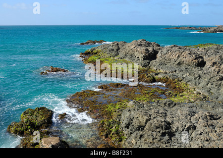 Rock côte près de Sal Rei, Boa Vista, République du Cap-Vert Banque D'Images