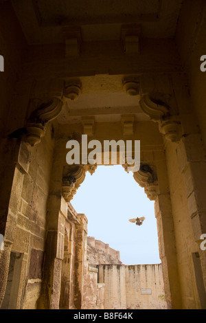 Fort Mehrangarh Jodhpur Rajasthan Inde Banque D'Images