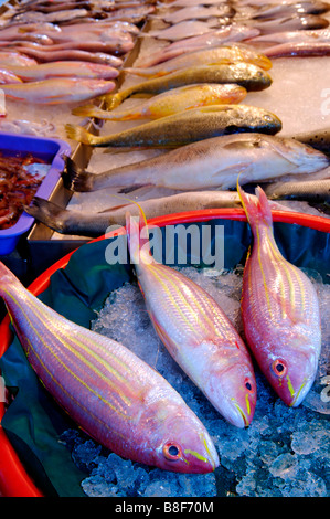 Poisson cru frais sur la glace sur l'affichage à une échoppe de marché Banque D'Images