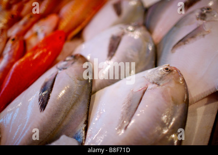 Poisson cru frais en rangées sur l'affichage à une échoppe de marché Banque D'Images