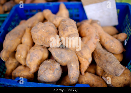 Les patates douces dans un panier sur l'affichage Banque D'Images