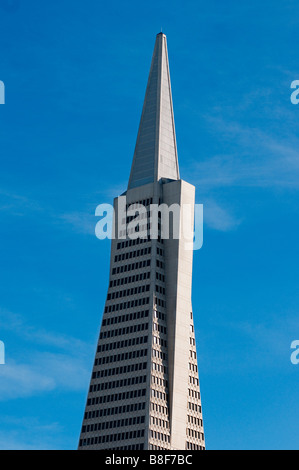 La Transamerica building à San Francisco. Banque D'Images