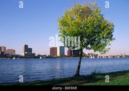 Esplanade, Charles River, Boston, Massachusetts Banque D'Images