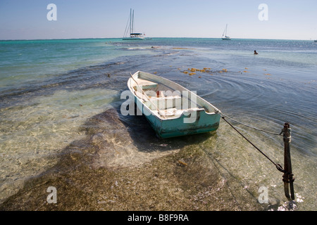 Un petit bateau est lié à un jeu dans les bas-fonds avec des voiliers à l'horizon sous un soleil d'après-midi chaud : Ambergris Caye, Belize Banque D'Images