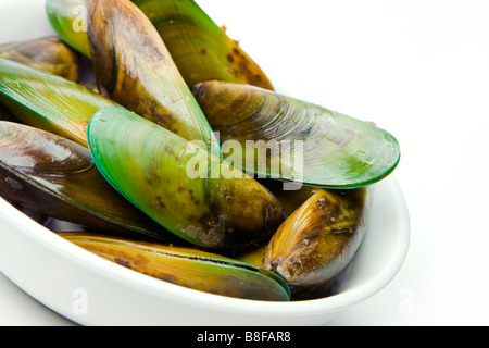 Moules aux orles verts (Green irisées) de Nouvelle-Zélande dans un bol prêt à cuire. Banque D'Images