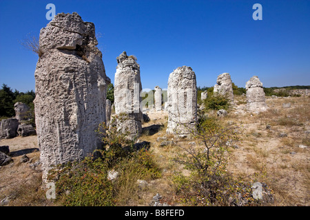 Pierres de la forêt de pierre près de Varna, Bulgarie Banque D'Images