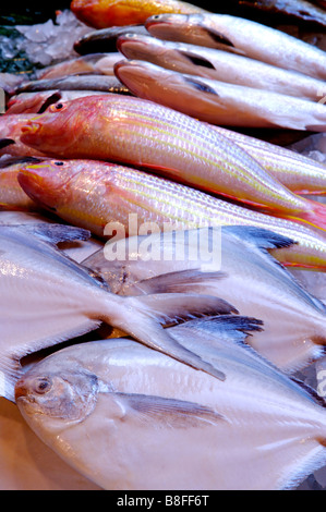 Le poisson frais sur la glace sur l'affichage à une échoppe de marché Banque D'Images