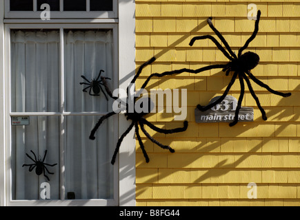 Big furry araignées dans une fenêtre de la chambre comme décoration halloween Banque D'Images