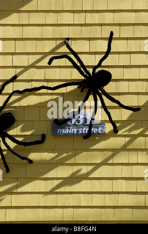 Big furry araignées dans une fenêtre de la chambre comme décoration halloween Banque D'Images