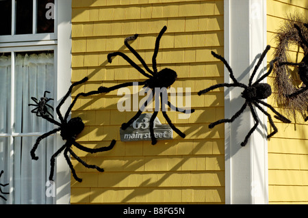 Big furry araignées dans une fenêtre de la chambre comme décoration halloween Banque D'Images