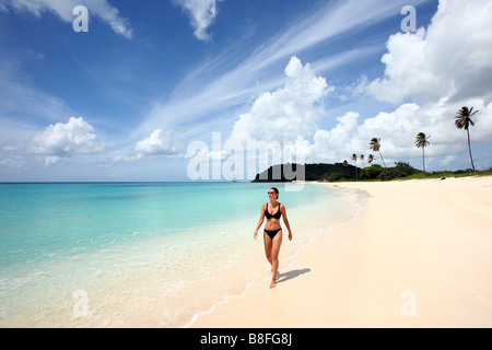 Young woman in bikini promenades sur Paradise beach Banque D'Images