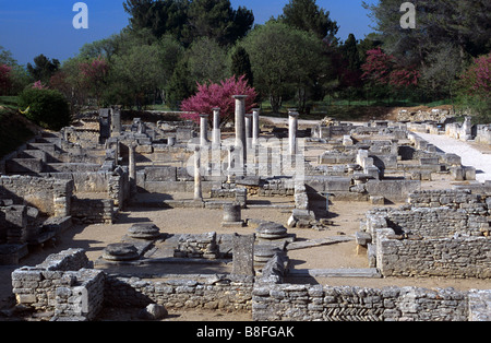 Vue sur Ville gréco-romaine de Glanum inférieur avec Market Place & maisons romaines, Glanum, St Rémy de Provence, Alpilles, france Banque D'Images