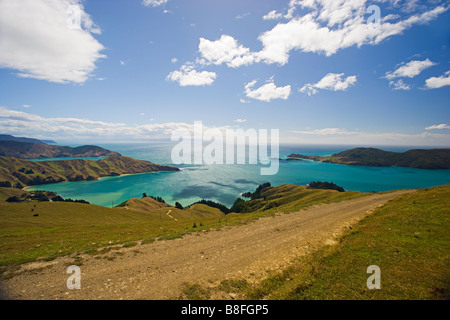 La French Pass, une vue sur Marlborough Sounds, île du sud Nouvelle-zélande Banque D'Images