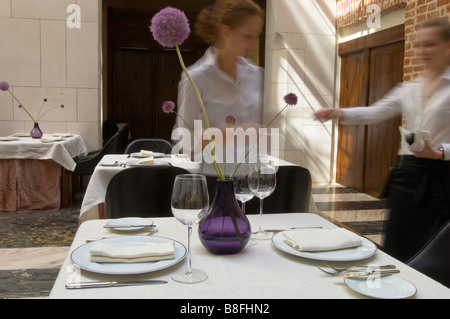 Hotel Stary Cracovie Pologne rue Szczepanska restaurant Banque D'Images