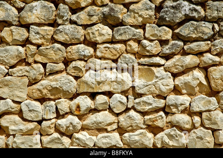 Mur de roche calcaire, un exemple typique de l'ouest de la France Banque D'Images