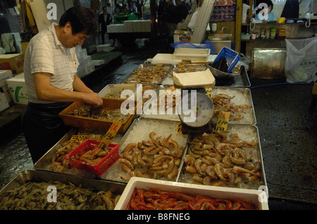 Un commerçant trie les crevettes vente à Tokyo Tsukiji fish market Banque D'Images