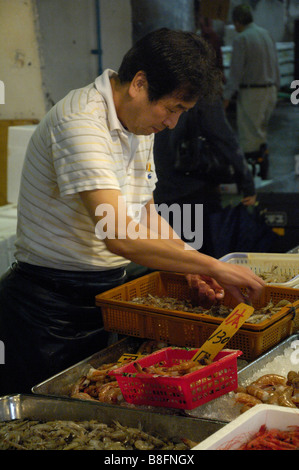 Un commerçant trie les crevettes vente à Tokyo Tsukiji fish market Banque D'Images