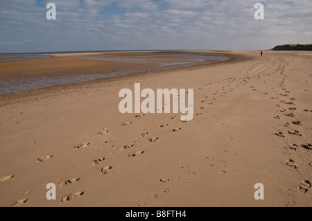 Des traces de pas dans le sable, Holkham Bay, Norfolk, England, UK Banque D'Images