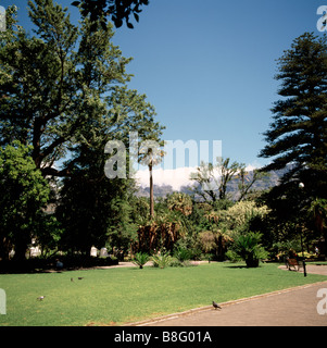 Les jardins de l'entreprise à Cape Town en Afrique du Sud, en Afrique sub-saharienne. l'apartheid jardin cap histoire rhodes voyage colonial historique Banque D'Images