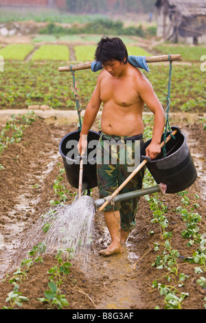 PAN YU, province de Guangdong, Chine - travailleur agricole Arrosage des nouvelles pousses à la main dans le champ près de la zone industrielle d'Highsun Banque D'Images