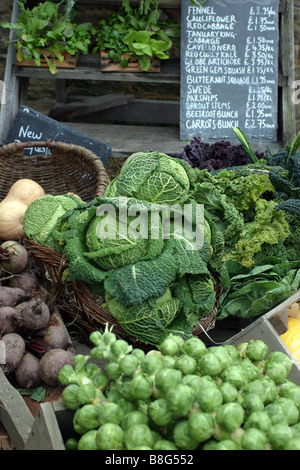 Les légumes frais biologiques Banque D'Images