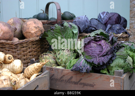 Les légumes frais biologiques Banque D'Images