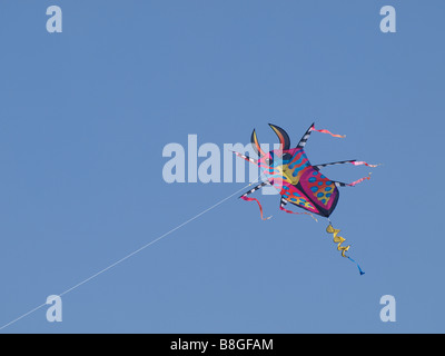 Kite colorés en forme d'un coléoptère voler contre un ciel bleu clair Banque D'Images