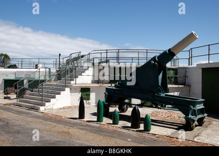 La batterie lion sur Signal Hill, Cape town afrique du sud Banque D'Images