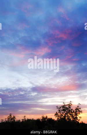 Sunkissed nuages roses dans le ciel. Banque D'Images