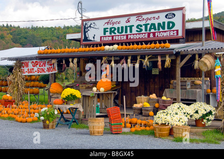 Alyce et Rogers Stand de fruits à Mount Tremper New York USA Banque D'Images