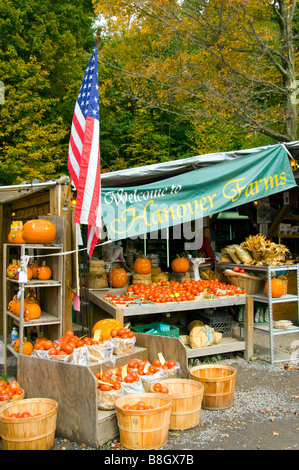 Alyce et Rogers Stand de fruits à Mount Tremper New York USA Banque D'Images