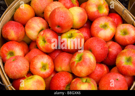 Paniers de pommes rouges en vente à Alyce et Rogers Stand de fruits à Mount Tremper New York USA Banque D'Images