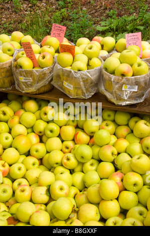 Paniers de pomme verte à la vente à Alyce et Rogers Stand de fruits à Mount Tremper New York USA Banque D'Images