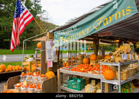 Alyce et Rogers Stand de fruits à Mount Tremper New York USA Banque D'Images