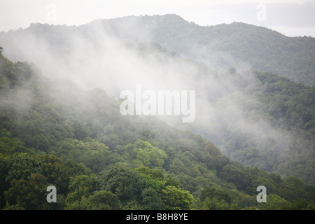 Vue sur la jungle de Morne Trois Pitons National Park sur l'île des Caraïbes la Dominique Banque D'Images