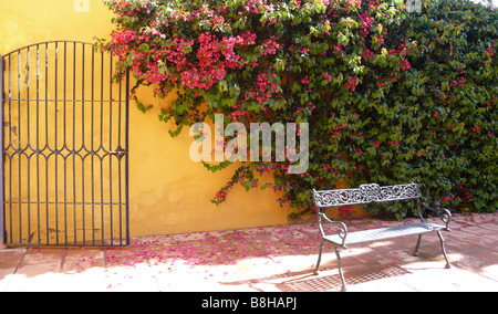 Fleurs méditerranéennes avec porte et banc Banque D'Images