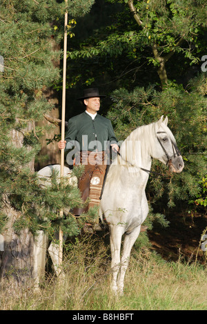 Man riding sur Pure race espagnol horse Banque D'Images