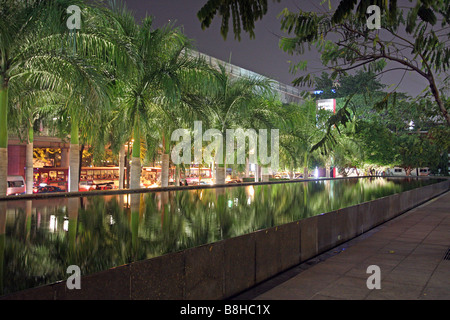 Palmiers la nuit à Bangkok, Thaïlande Banque D'Images