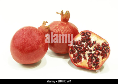 Grenadier (Punica granatum), deux ensemble et une moitié des fruits, studio photo Banque D'Images