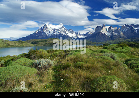 Le printemps dans le Parc National Torres del Paine, Patagonie, Chili Banque D'Images