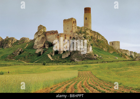 Ruines du château médiéval près du village de Olsztyn au Sentier des nids d'aigles dans la région de Malopolska Pologne Banque D'Images