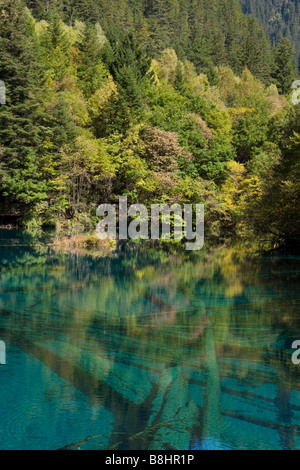 Shambhala, haut en couleurs, Peacock lake en Chine Banque D'Images