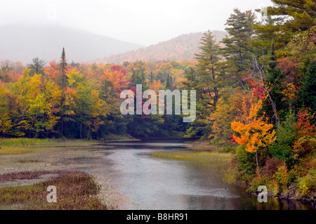 Un petit ruisseau dans les Adirondacks avec feuillage automne dans l'État de New York USA Banque D'Images