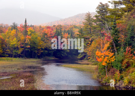 Un petit ruisseau dans les Adirondacks avec feuillage automne dans l'État de New York USA Banque D'Images