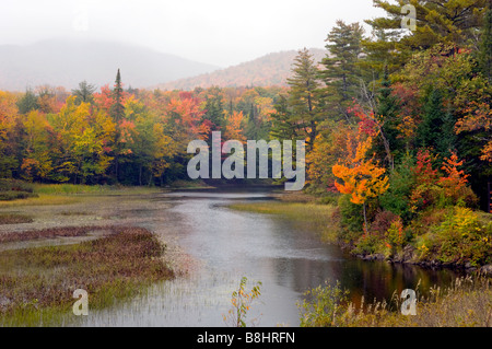 Un petit ruisseau dans les Adirondacks avec feuillage automne dans l'État de New York USA Banque D'Images