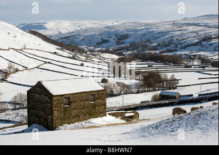 Regardant vers le bas au-dessus de Swaledale Thwaite champs et des murs couverts de neige lourdes Banque D'Images