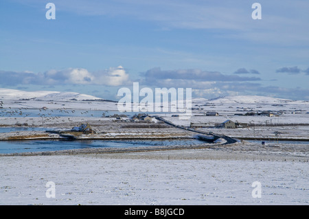 dh Pont de Waithe STENNESS ORNEY Oies troupeau prise de les champs de neige blancs hivernent et les oiseaux sauvages se fauchent Banque D'Images