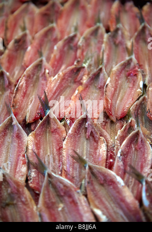 Anchois frais Marché aux poissons du Rialto de Venise Banque D'Images